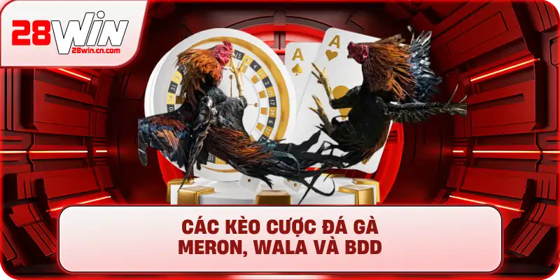 Đá Gà 2 Các kèo cược đá gà Meron, Wala và BDD tại sảnh 28Win
